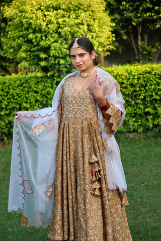 Kala rani Anarkali suit