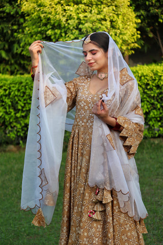 Kala rani Anarkali suit